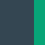 Anthracite/Jade Green